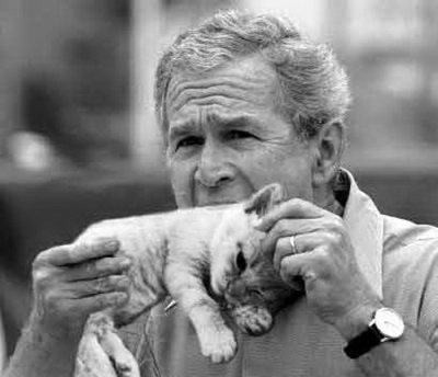 Bush eating a kitten